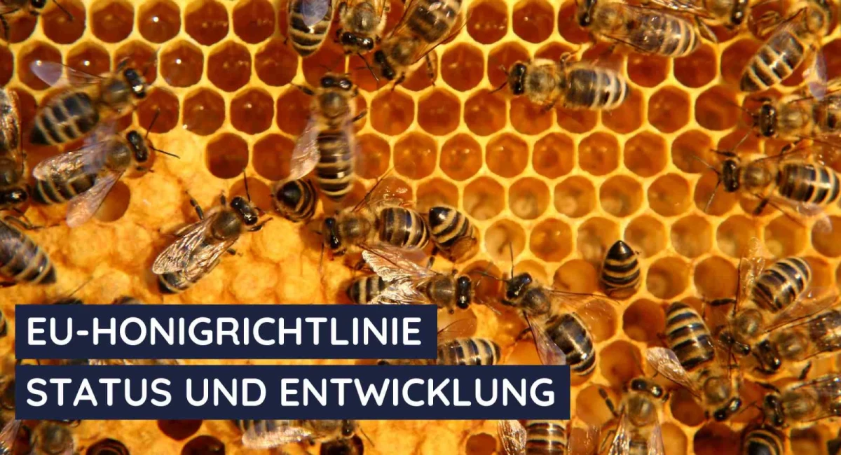 EU‑Honigrichtlinie Anforderungen, Risiken und Umsetzung im Zoll- und Außenhandel