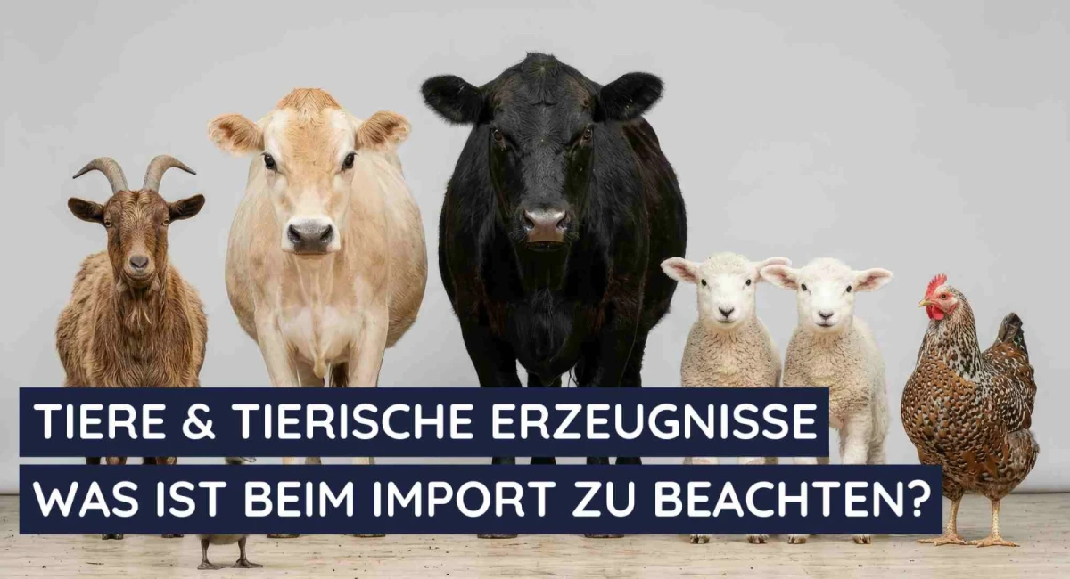 Verordnung (EU) 2026/1052: Neue Anforderungen für die Einfuhr von Tieren und Erzeugnissen tierischen Ursprungs