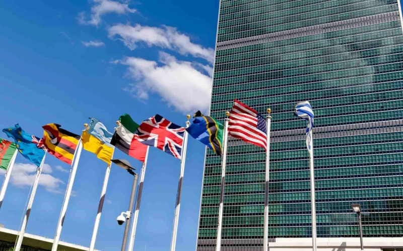 UN-Sanktionslisten, Resolutionen und Embargos: Strategische Handlungsfelder und Compliance-Verpflichtungen f&uuml;r Unternehmen